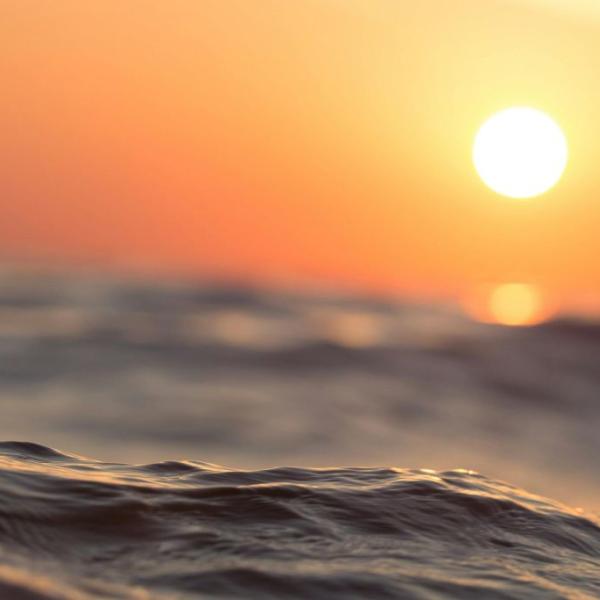 blog